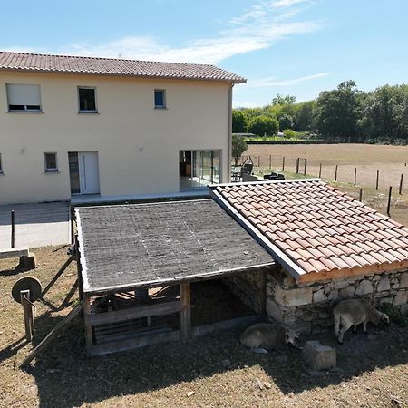 Villa Des Grands Crus Cadaujac 外观 照片